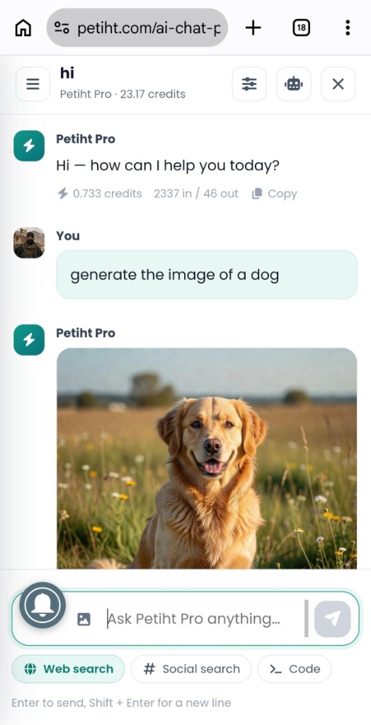 AI Chat Pro on the web