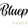 Blueprint  Experts 